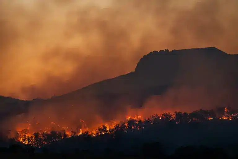 Bushfire burning on a hillside